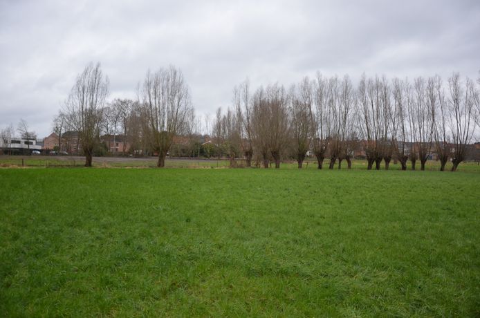 De open ruimte tussen de Wareslage en de Stationsstraat blijft de komende jaren gevrijwaard.