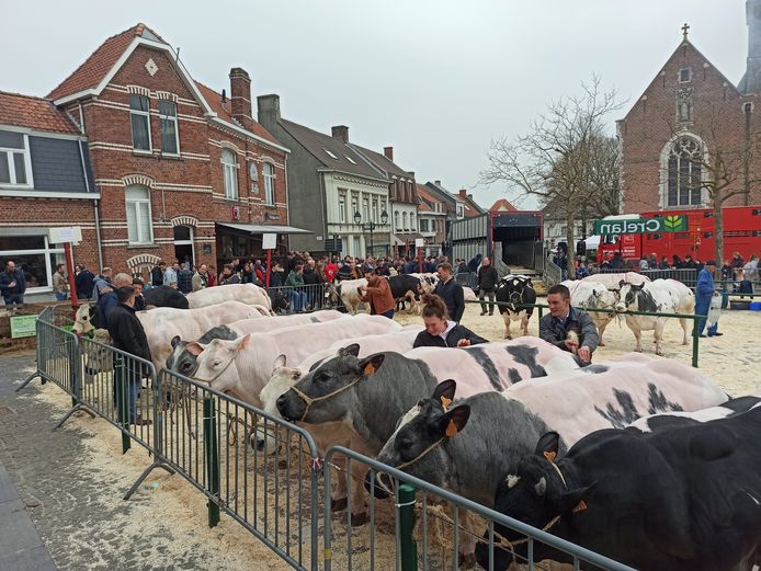 De 153ste editie van de Vette Veemarkt in Zomergem kon op heel wat belangstelling rekenen.
