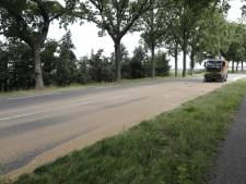Graan op de weg: auto knalt tegen boom op Halsterseweg in Steenbergen 