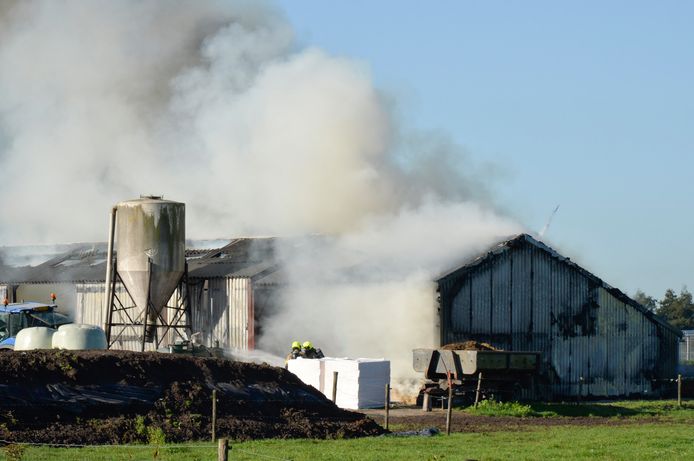 Kalfjes omgekomen bij een brand in een schuur in Prinsenbeek.