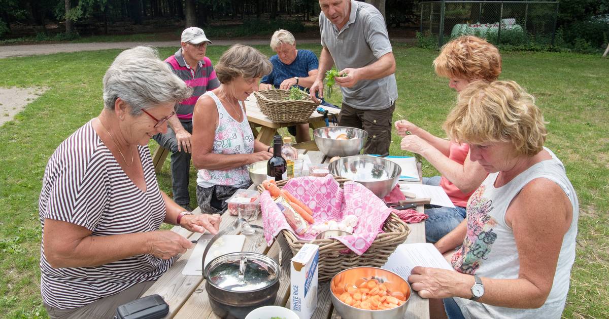 Rechter tikt Overijssel op de vingers: natuurcamping Diffelen mag uitbreiden