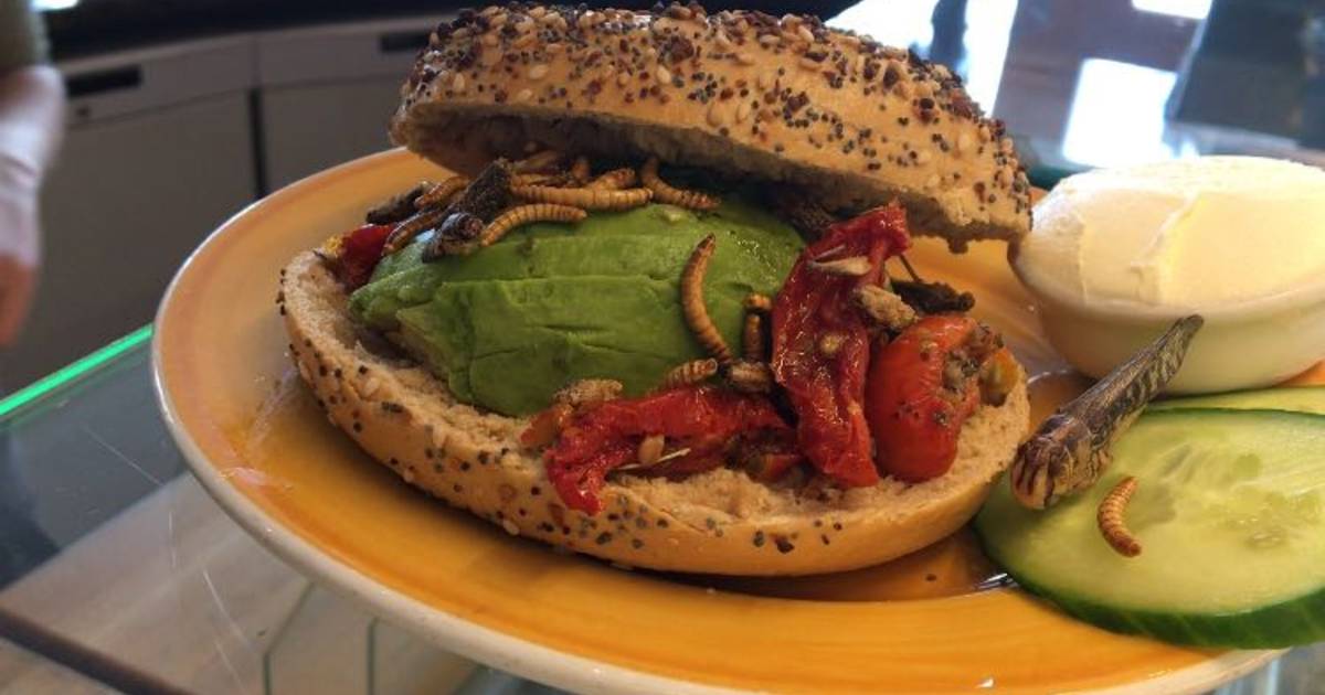 Bagels & Beans verkoopt meelwormen en krekels op de bagel! Ogen dicht