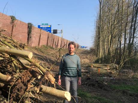 Duidt plotselinge kap van honderden bomen tóch op verbreding A27? ‘Dat is wel héél toevallig’
