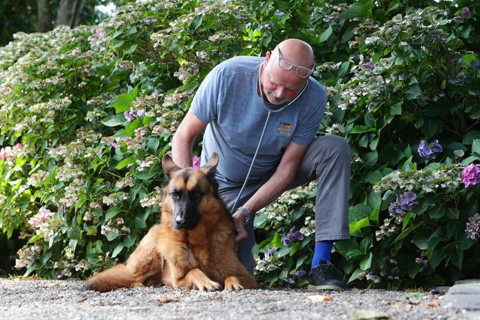 Sjors Sijbrandij, dierenarts in Reeuwijk, onderzoekt buiten de praktijk een hond op hoestziekte.