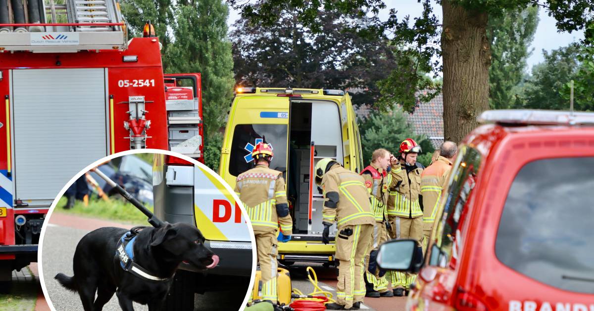 Hond bleef bij bazin in auto na ongeval De Lutte: ‘Hij slaapt nog steeds op de jas van mijn vrouw'.