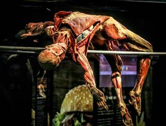Prestigieuze expo met echte menselijke lichamen strijkt neer in Oud Sint-Jan: “Je ziet hen dansen of de liefde bedrijven”