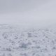 Archief: Zeven Belgen gered uit sneeuwstorm in de Schotse Highlands