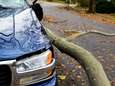 Stormschade aan je woning of auto? Dit moet je doen