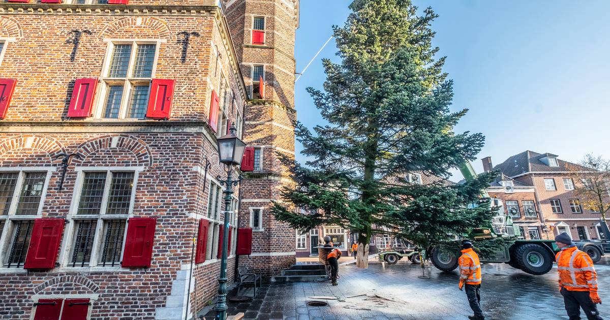 En toch staat er weer ‘gewoon’ een Echte Boom op de markt in Gennep ...