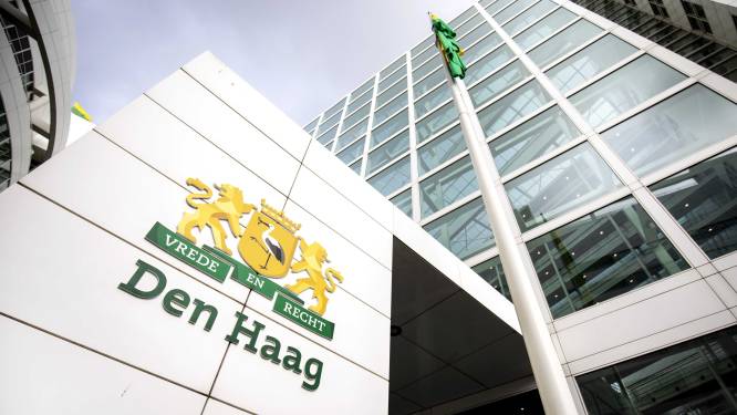 Haagse ambtenaar ontslagen voor miljoenenfraude