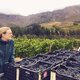 Sommelier Lotte Wolf (1985-2018)  zorgde voor rock-'n-roll in de wijnwereld