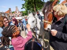 Perfect paardenmarktweer: topdrukte, maar met steeds minder paarden en pony’s