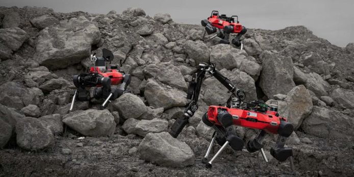 Drie robothonden aan de slag op een stukje nagebootste planeet.