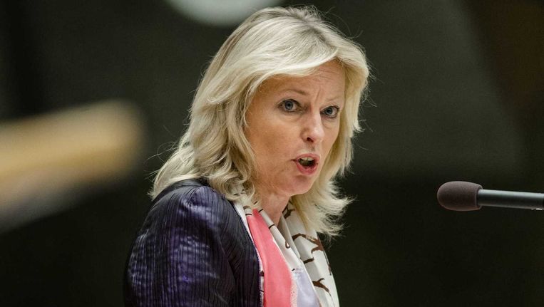 Minister Jet Bussemaker van Onderwijs, Cultuur en Wetenschap. Beeld anp