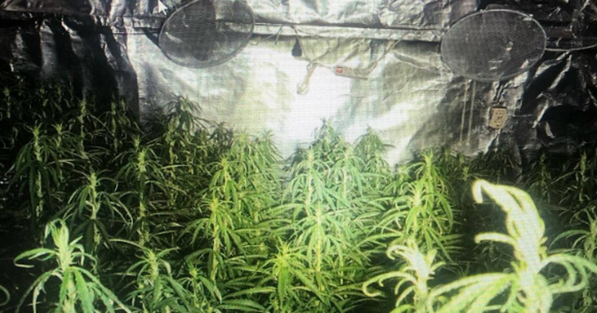 Henneppand in Streefkerk voor drie maanden op slot