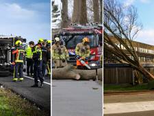 Storm Eunice trekt spoor van vernieling door Groene Hart: opruimen duurt dagen