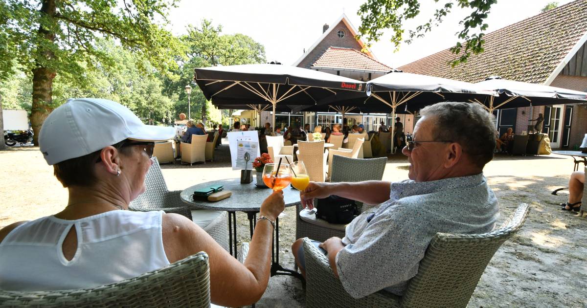 Alles van Tante Sien uit Vasse gaat onder de hamer, zelfs de naam: ‘Daar is al flink wat interesse v