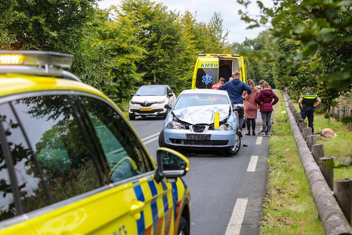 Een automobilist is gewond geraakt bij aanrijding met een hert op de Kanaalweg in Laag-Soeren. Ook het dier raakte gewond en is afgeschoten.