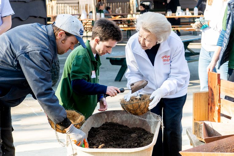 Prinses Beatrix helpt mee met een NLdoet-activiteit bij Kinderboerderij de Schaapskooi. Beeld Brunopress
