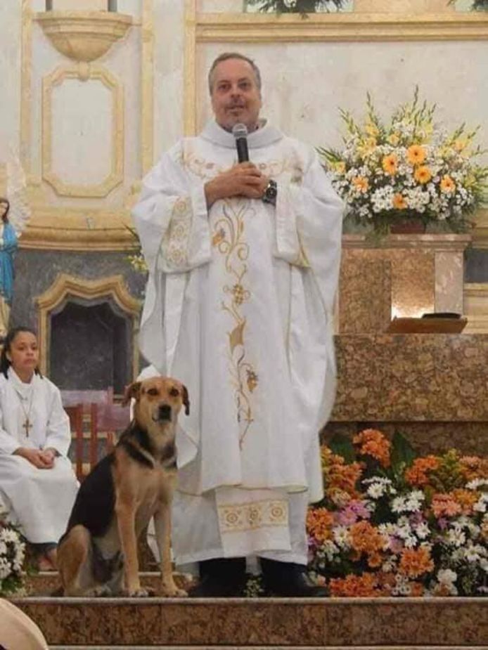De honden mogen lopen waar ze willen tijdens de kerkdienst.