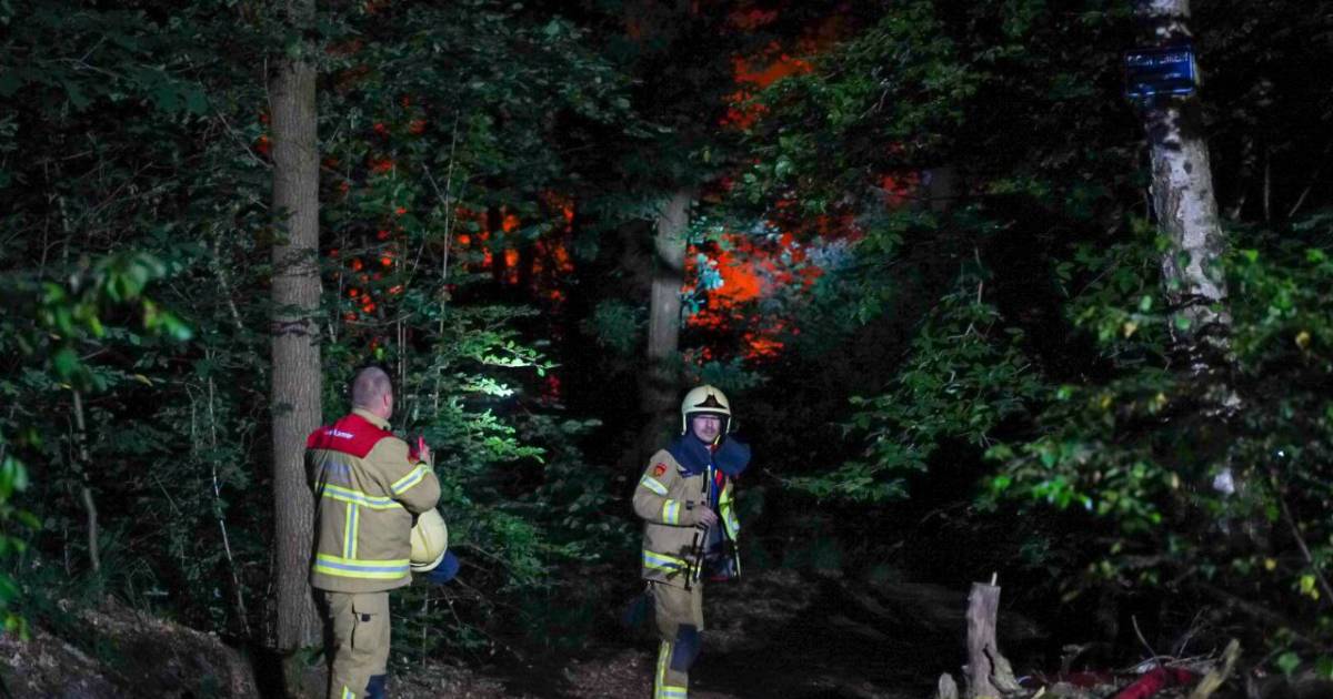 Brandweer rukt groots uit na bosbrand in Lochem