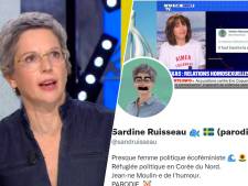 Droit à la caricature ou cyber-harcèlement? Sandrine Rousseau épingle le compte parodique “Sardine Ruisseau”