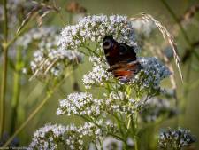Tips voor ’n uitje in Nijmegen en omgeving: Natuurwandeling over landgoed