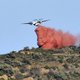 Eerste grote bosbrand dit jaar in Frankrijk onder controle: 930 hectare in de as