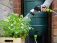 Beeld ter illustratie: groen in de tuin.