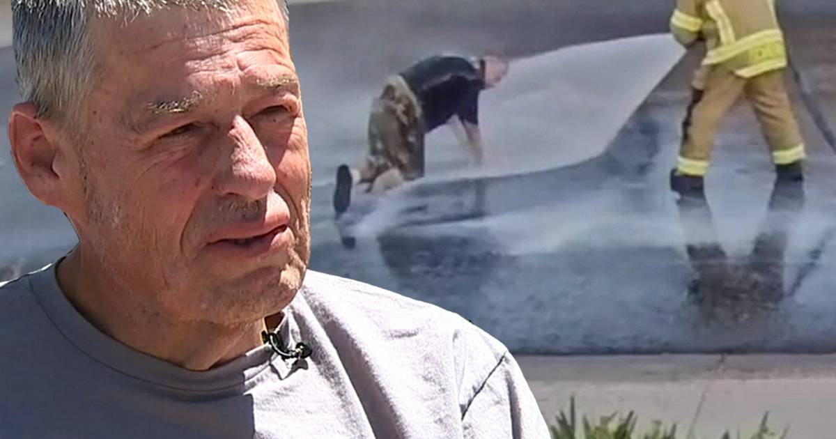 look.  John (60) has had over 250 bee stings, but can still tell the story |  strange