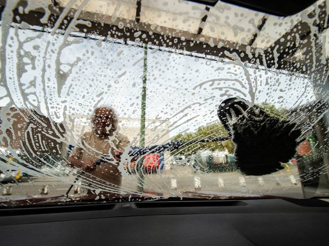 “Stop met stoep af te spuiten en auto wassen”: Waterhuishoudingexpert UAntwerpen vreest watertekort door extreme droogte