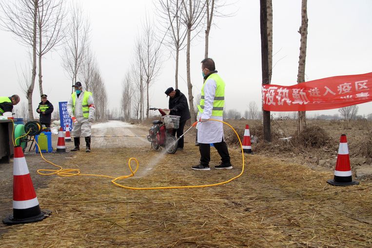 De Varkenspest Grijpt Om Zich Heen In China Een Massaslachting Dreigt