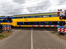 ProRail: Twee gestrande treinen op traject Alphen-Woerden is botte pech