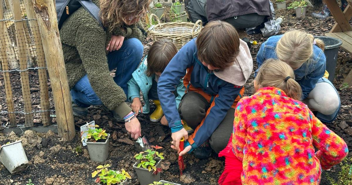 Voedselbosjes geopend met hapje brandnetelpaté en slokje colakruidwater