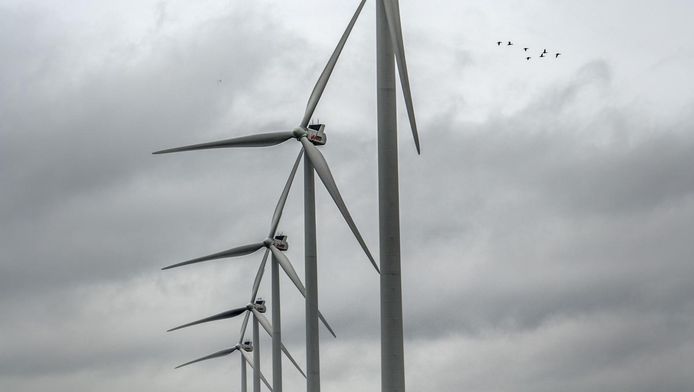 De windmolens langs de Oude Maas worden nog hoger dan deze vijf in de Zwartenbergsepolder.