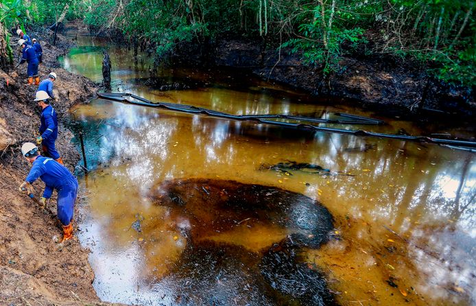 Arbeiders proberen de Lizama-rivier schoon te maken na het olielek van raffinaderij Ecopetrol in Barrancabermeja in het departement Santander in Colombia. Op een maand tijd zijn al meer dan 2.400 dieren gestorven. Dat meldden milieuorganisaties.