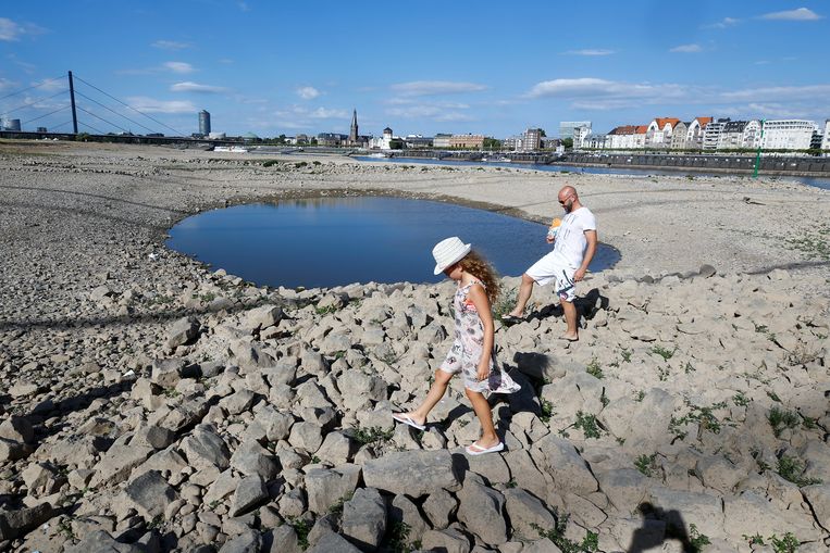Een deel van de Rijn bij Düsseldorf. Beeld REUTERS