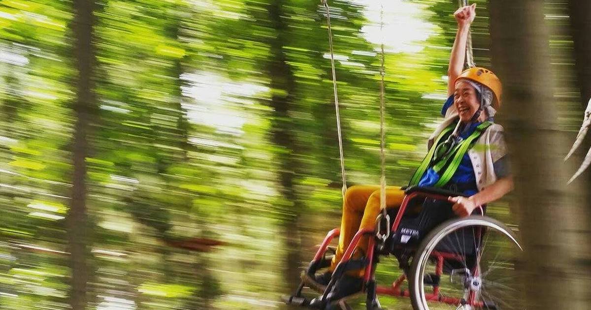 Frustrerend gaan beslissen Wrijven ANWB-prijs voor een rolstoel toegankelijk Avonturenpad van Rocks 'n Rivers  in Goirle | Goirle | bd.nl