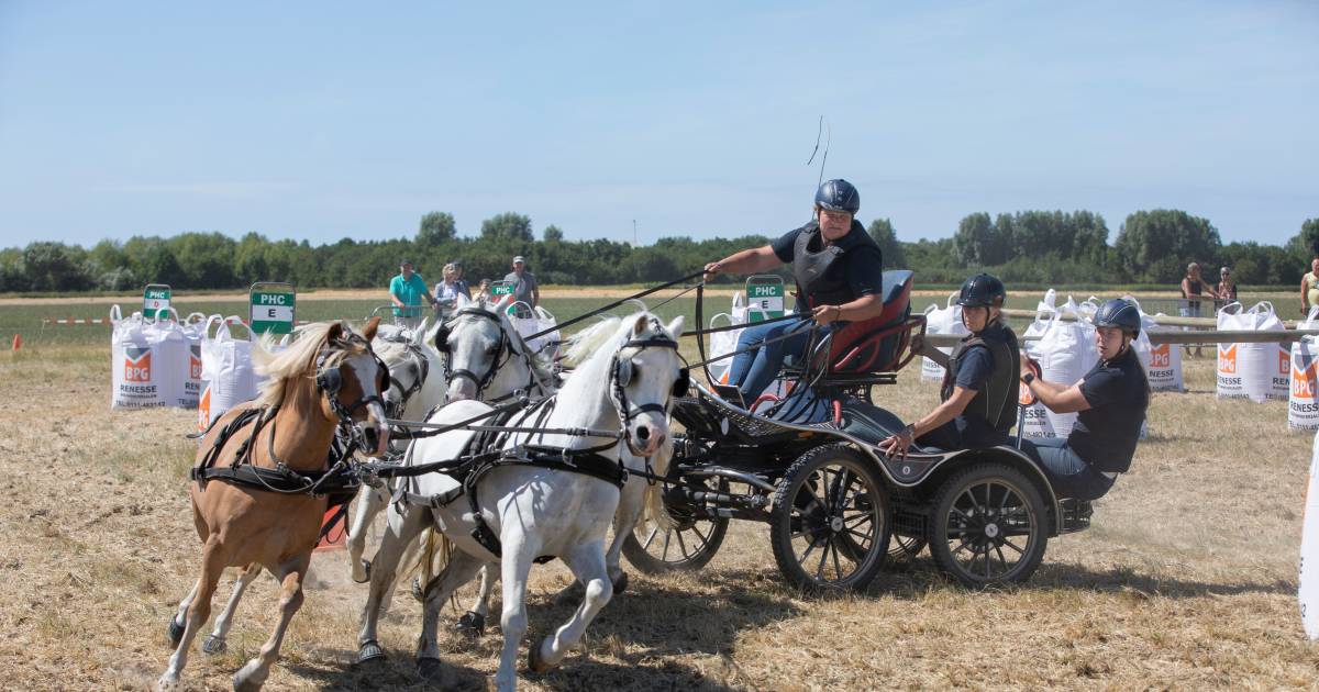 Op wat hobbels na is het goed toeven in Noordwelle voor het circus van de Power Horse Competition