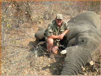 Jachttrofeeën van olifanten importeren uit Zambia of Zimbabwe was verboden in de VS. Trump draait dat nu terug