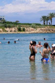 Des punaises d’eau géantes “croqueuses d’orteil” sur l’île de Chypre