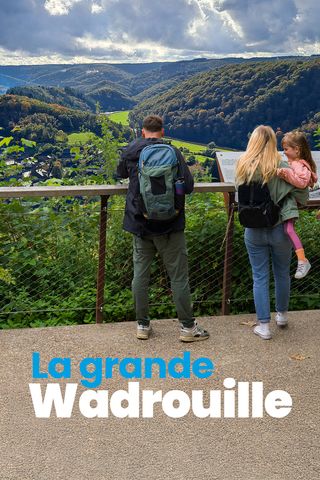 La Grande Wadrouille