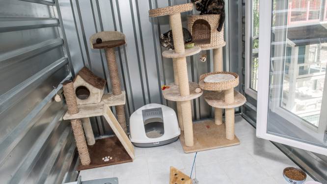 Zes dierenasielen uit Mandelstreek krijgen Vlaamse energiesteun