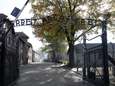 Naakte betogers slachten schaap aan toegangspoort Auschwitz 