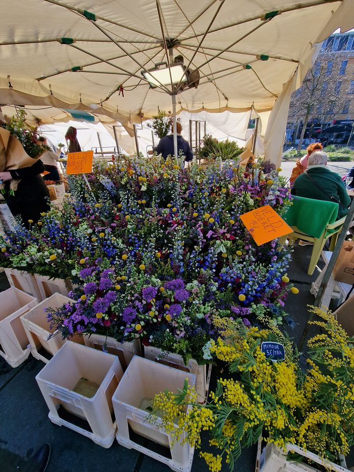 Foto getrokken met de hoofdcamera van de Samsung Galaxy S22 Ultra