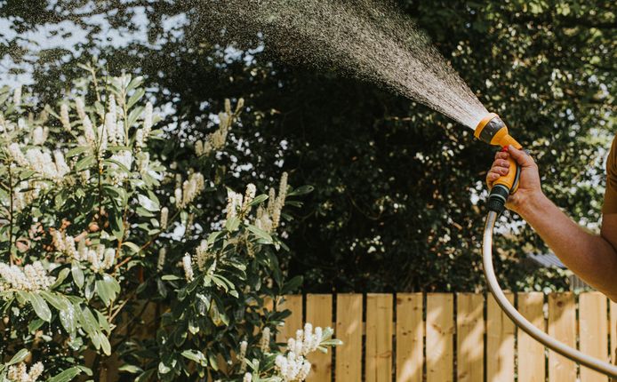 Om de klimaatverandering het hoofd te bieden, volstaat een regenwaterput van 5.000 liter niet langer volgens Griet Verbeeck, hoofd van de onderzoeksgroep Sustainability van de faculteit Architectuur en Kunst aan de Universiteit Hasselt.