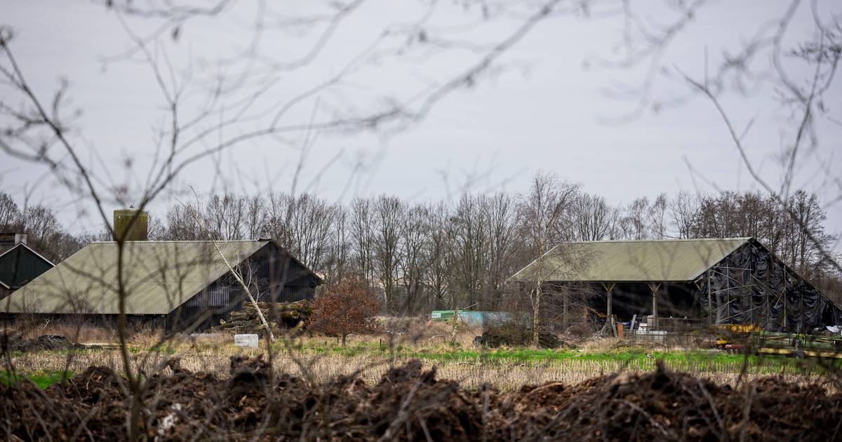 Veehouder Henk Hesselink uit Haaksbergen moet nu echt vertrekken van boerderij