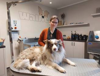 Kelly (38) start massagesalon... voor honden: “Kan gedragsproblemen en pijn verhelpen”