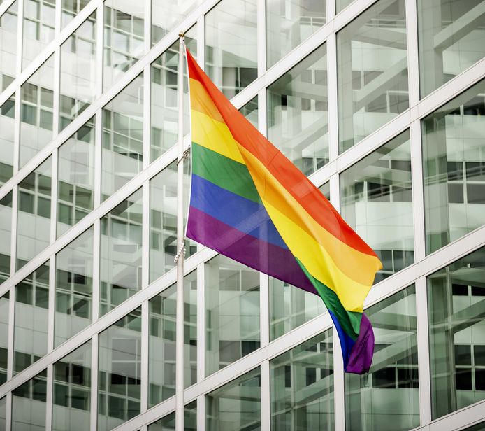 Een grote regenboogvlag bij het stadhuis van Den Haag, archieffoto.