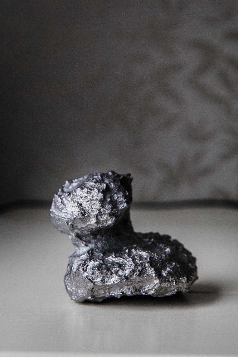 Fred Jansen over een model uit zijn vitrinekast: '3D-geprint op schaal: komeet 67P/Churyumov-Gerasimenko. De badeend. Mooi ding.' Beeld Aurélie Geurts